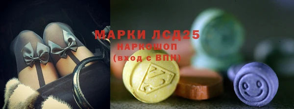 дмт Алзамай